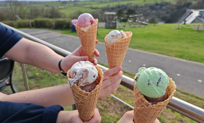 Mario's Ice Cream at Llys-y-fran
